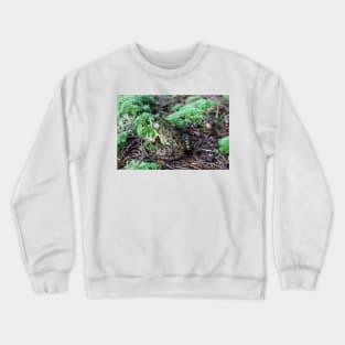 Frog Crewneck Sweatshirt